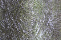 Whinney Hill fibreglass roof work